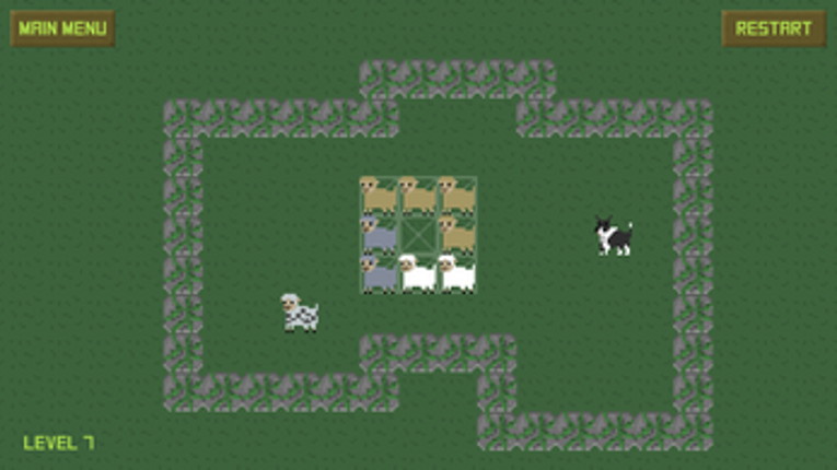 Broader Collie Image