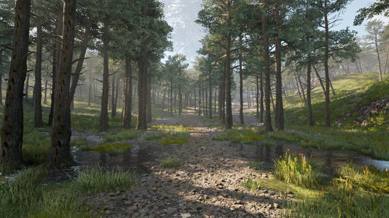 Calming Forest screenshot