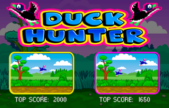 Duck Hunt Image