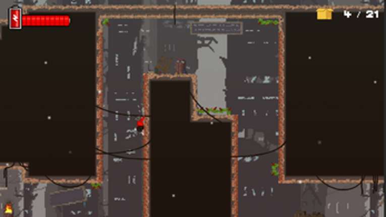 The Shy Racoon screenshot