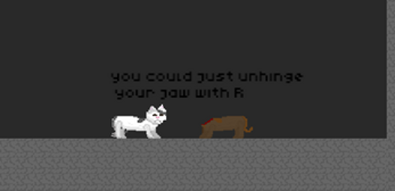 Mysterious kittens Image