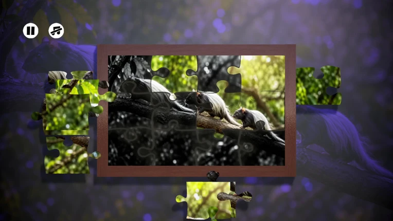 Puzzles Rats Image