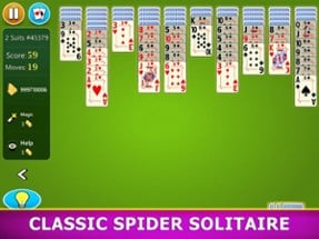 Spider Solitaire Mobile Image