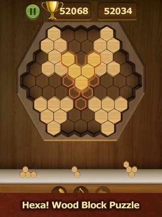 Wood Block Puzzle - Hexa Blast screenshot