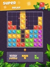 Block Puzzle - Classic game Image