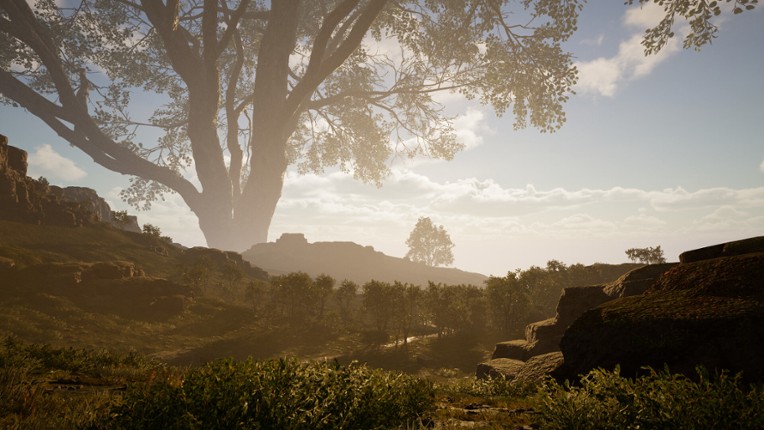 Calming Forest screenshot