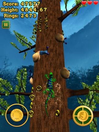 Crazy Lizard - The Amazing Journey Image