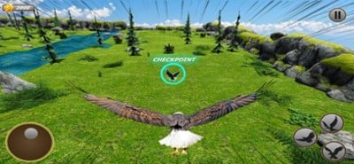 Eagle Simulator - Eagle Games Image