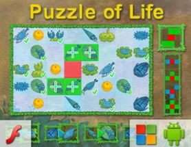 Puzzle Of Life Image