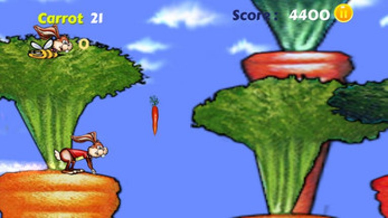 Rabbit Joy RUN Image