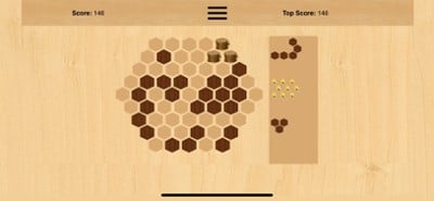 Wooden Hexa Puzzle Image