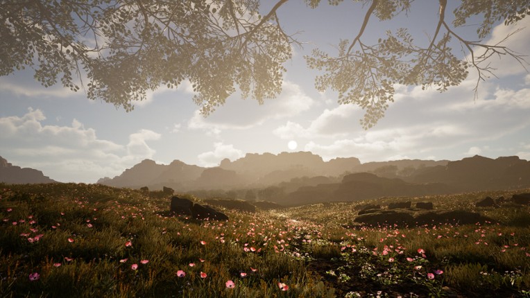 Calming Forest screenshot