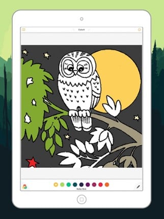 Cute Owl Coloring Drawing Pages for Kid Image