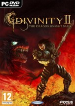 Divinity II: The Dragon Knight Saga Image