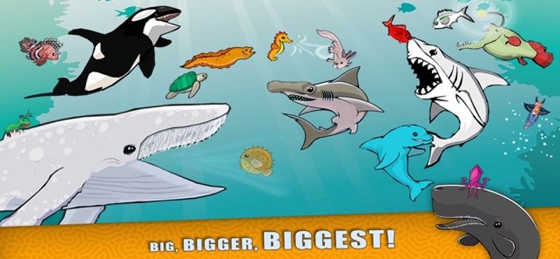 Fish Royale - Shark World Game Image