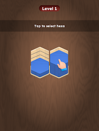 Wood Hexa Sort - Color Match screenshot