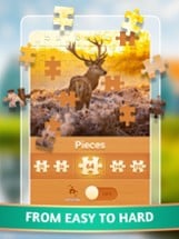 Jigsaw Puzzles Master Image