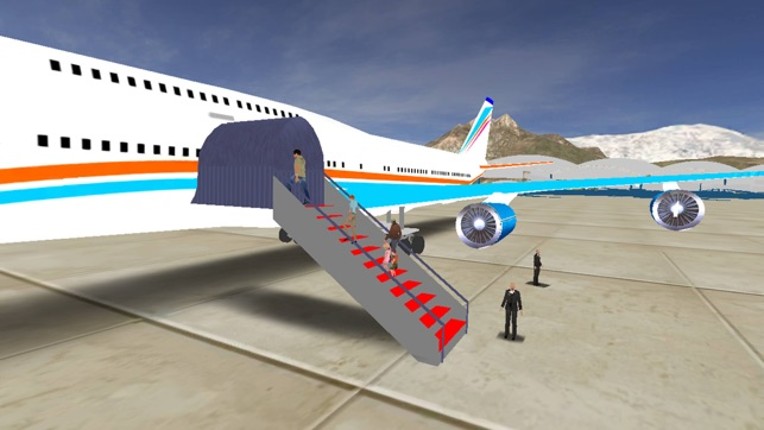 Real Plane Landing Simulator screenshot