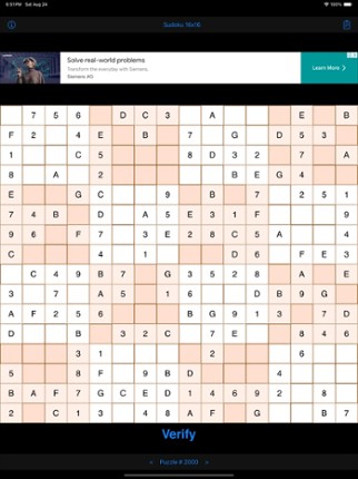 Sudoku 16x16 Game Image