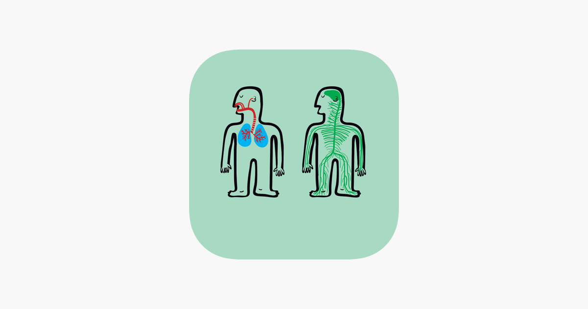 Games like Systems of the Human Body