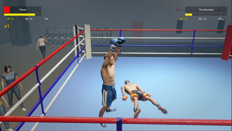 Boxing Life Simulator Image
