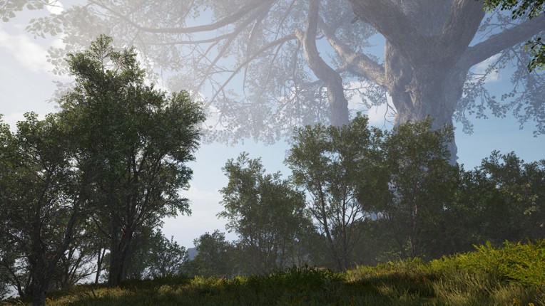 Calming Forest screenshot