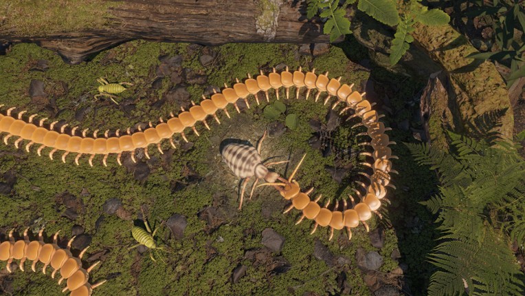 Centipede Simulator screenshot