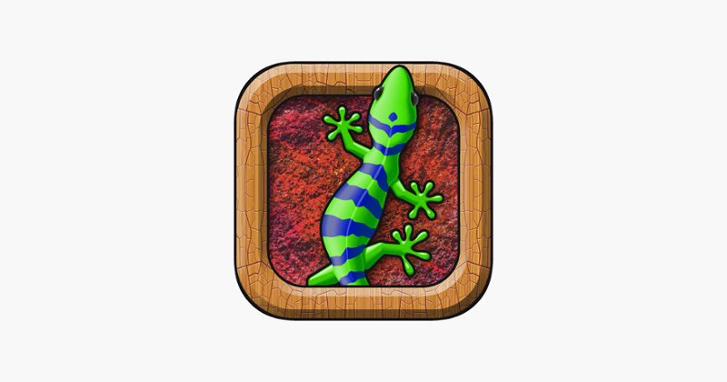 Crazy Lizard - The Amazing Journey Image