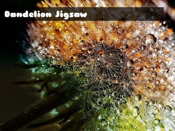 Dandelion Jigsaw Image