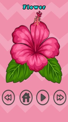 First Words English Game for Baby - Easy to Learn screenshot