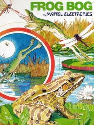 Frog Bog Image