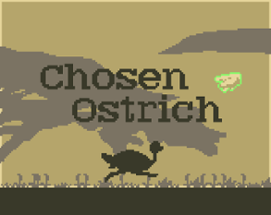 Chosen Ostrich Image