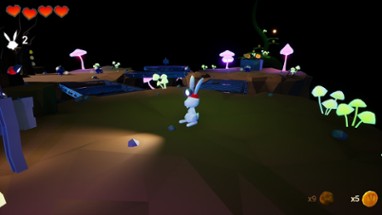 Rabbit Run Image