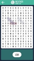 Word Search - Four Languages Image