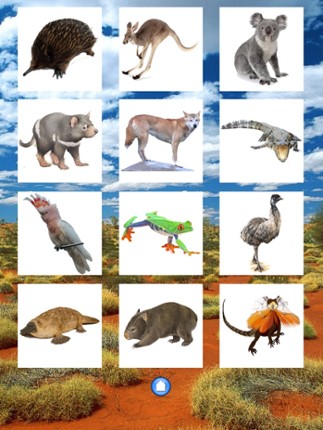 Animals Australia screenshot