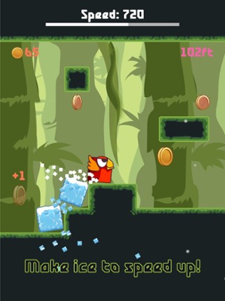 Bird Watch Game: learn to flap screenshot