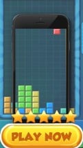 Classic Bricks Game Image