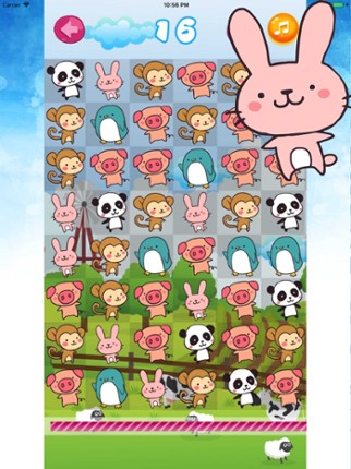 Cute Animal Match3 Crash Fun Image