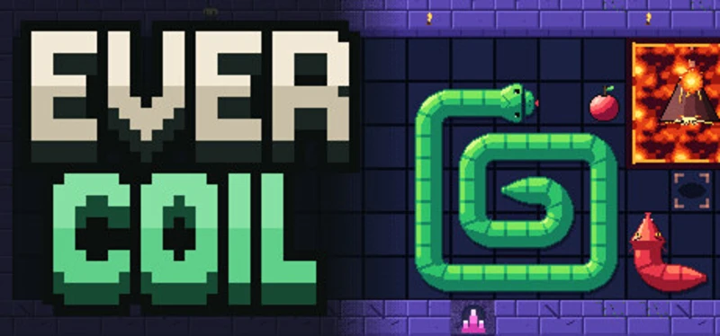 Evercoil Image