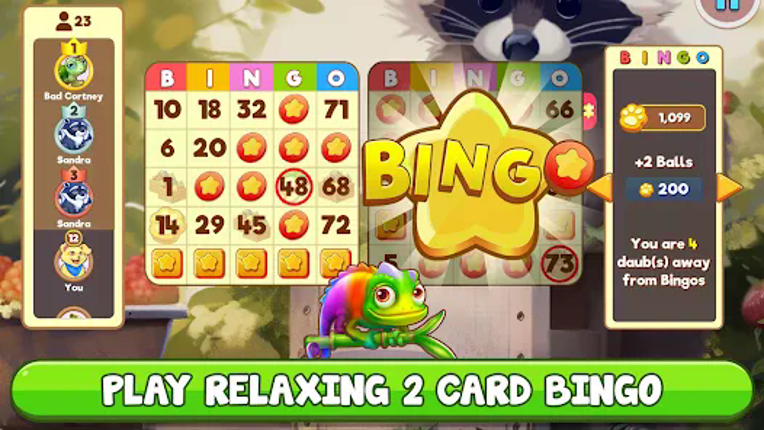 Bingo:  Free the Pets screenshot