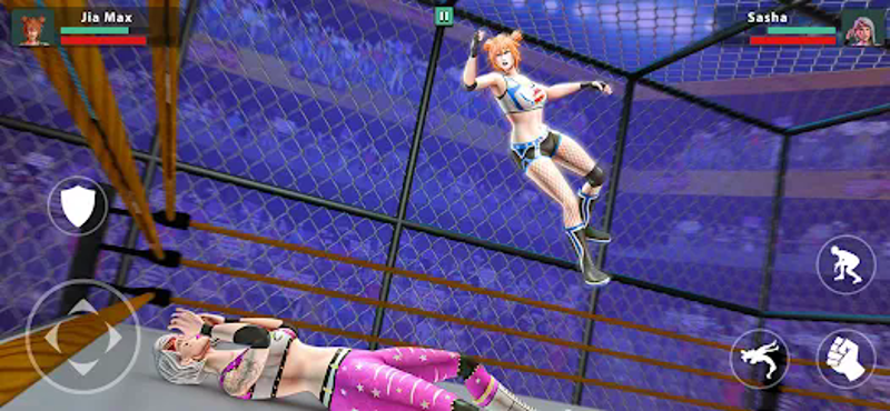 Wrestling Empire Battle Royale screenshot