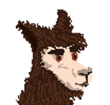 Alpaca Cino Image