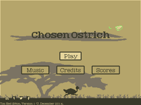 Chosen Ostrich Image