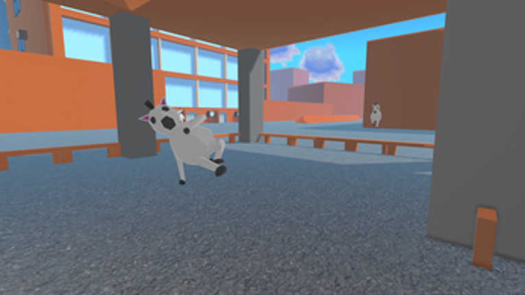 Zebra Crossing Image