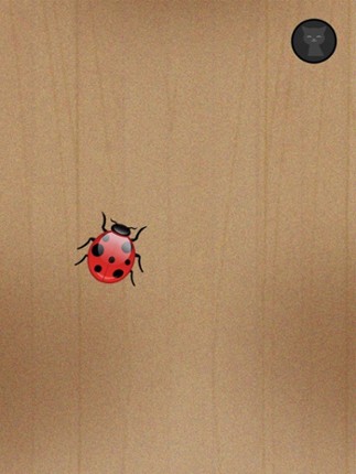 Lonely Cat Toy 2 - Fun Games for a cat alone screenshot