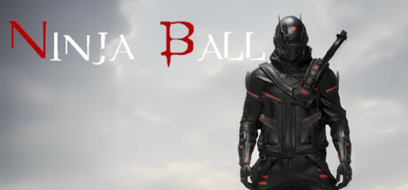 Ninja Ball Image