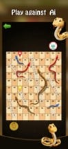 Snake and Ladder Image