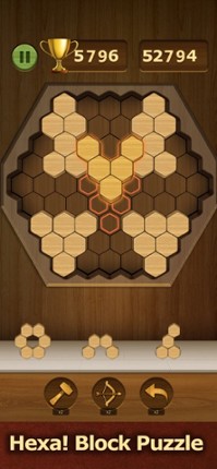 Wood Block Puzzle - Hexa Blast screenshot