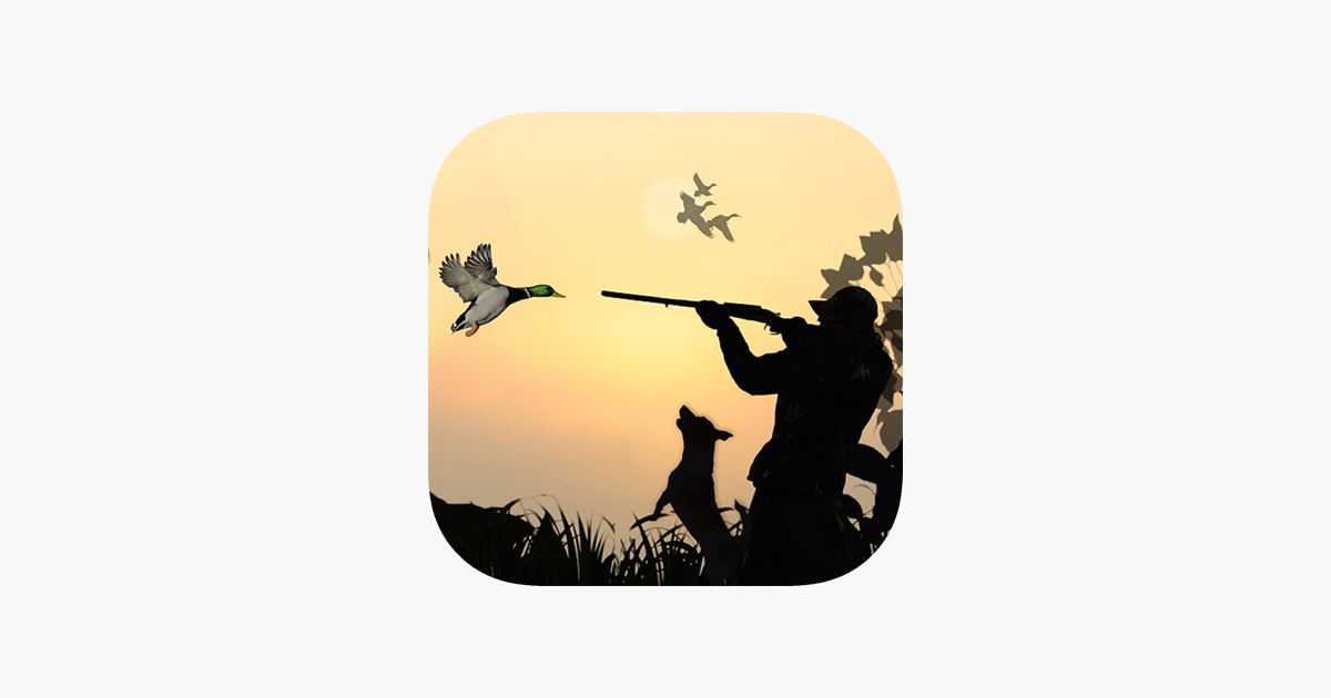 Games like Duck Hunting Sport 3D