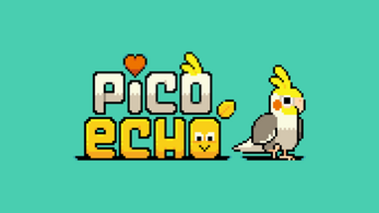 Pico Echo screenshot